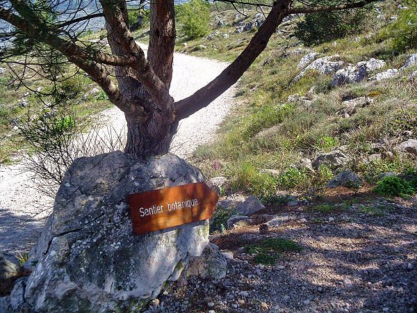 Sentier botanique - Botanical path
