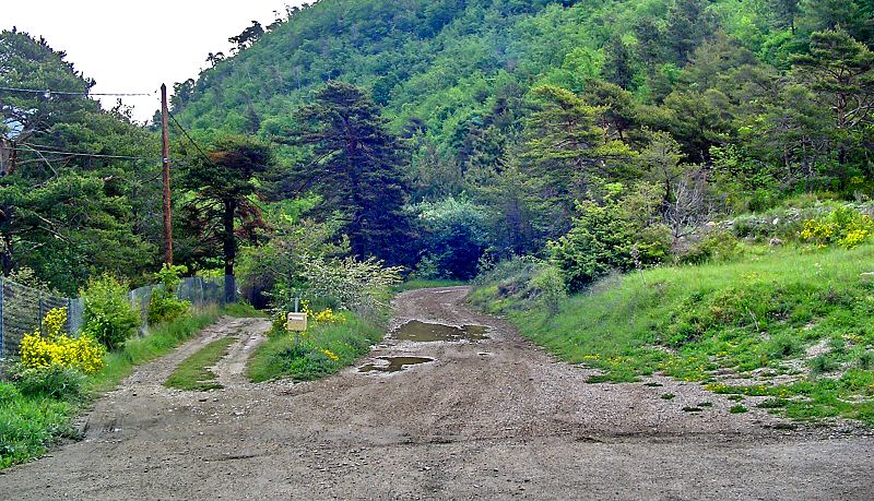C est reparti pour plusieurs kilomètres en sous bois - It is gone again for several kilometers under forest