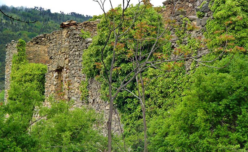 Façade sud de la ruine - South facing of the ruin