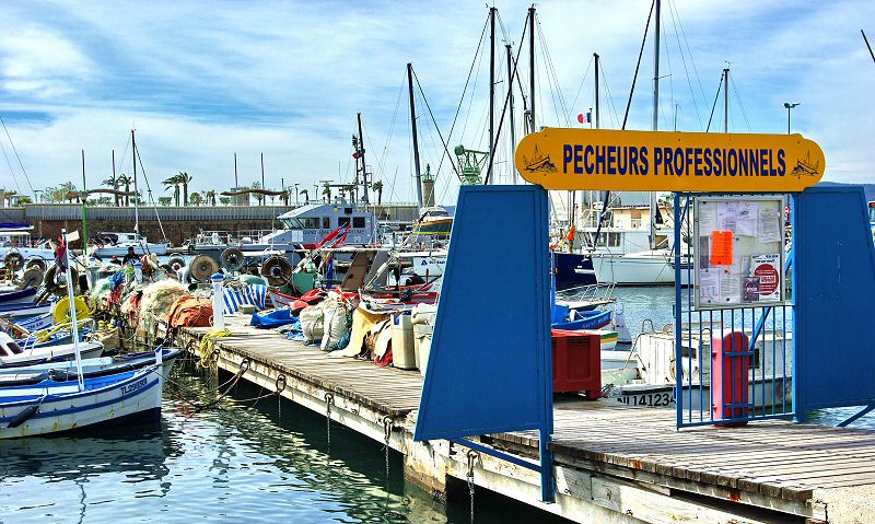 Oui c ets bien un port de pêche - Yes it is really a fishermen harbour
